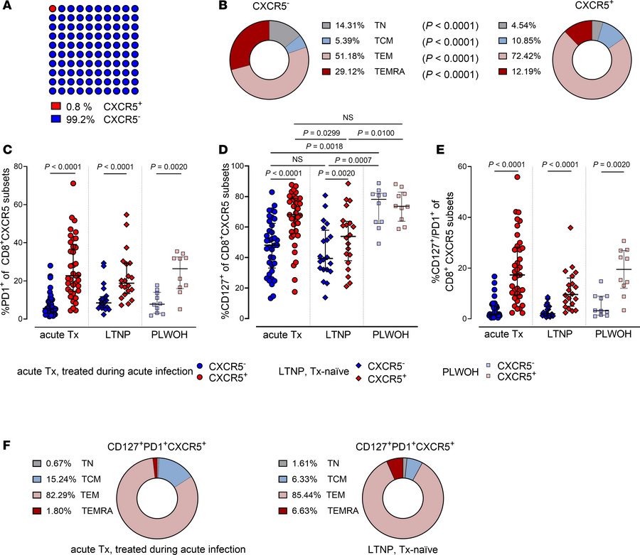 Circulating CXCR5+CD8+ T cells coexpress PD1 and CD127.
(A) Frequency of...