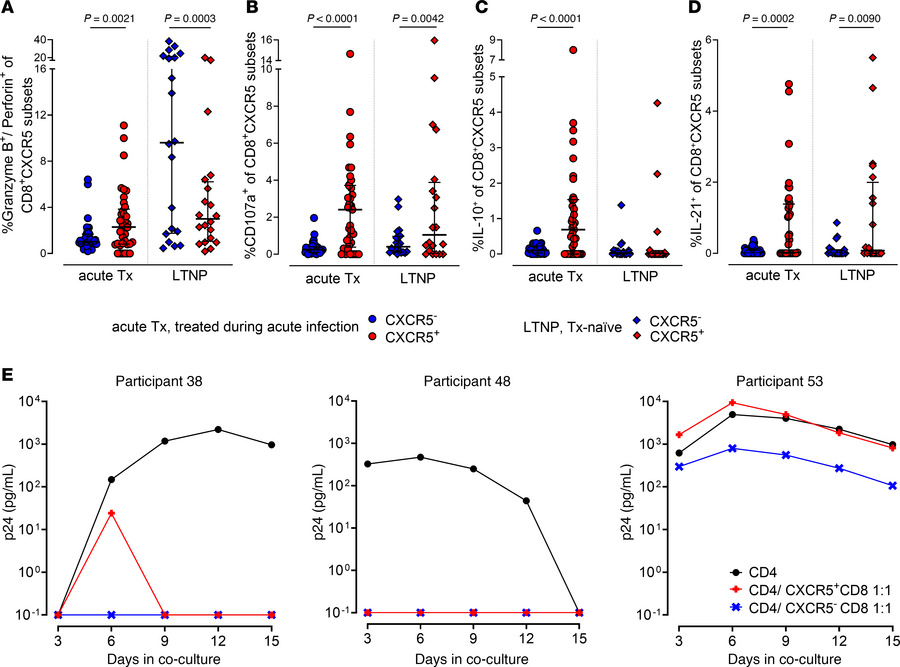 Circulating CXCR5+CD8+ T cells exhibit HIV-specific effector functions u...
