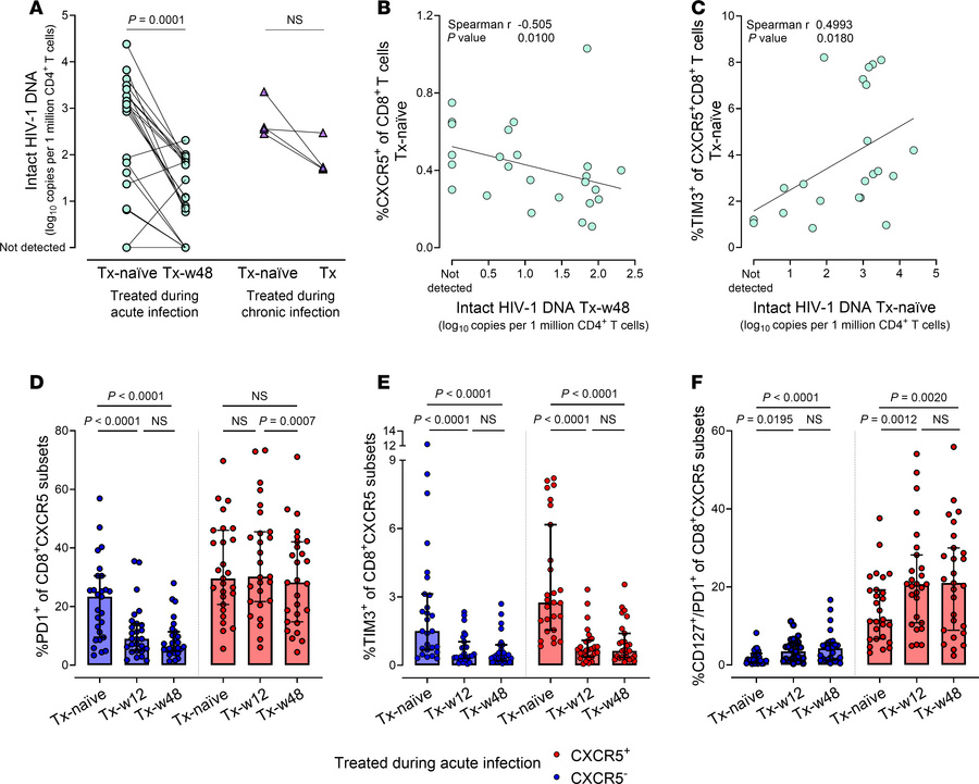 Circulating CXCR5+CD8+ T cells inversely correlate with intact proviral ...