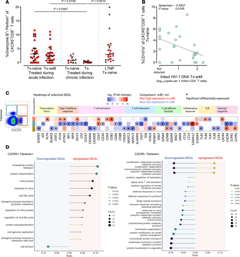 ART initiation during acute HIV infection preserves HIV-specific effecto...
