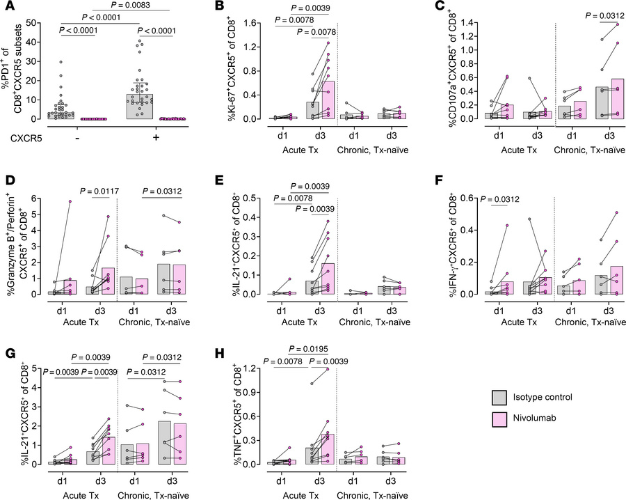 CXCR5+CD8+ T cells of individuals treated during acute infection prolife...
