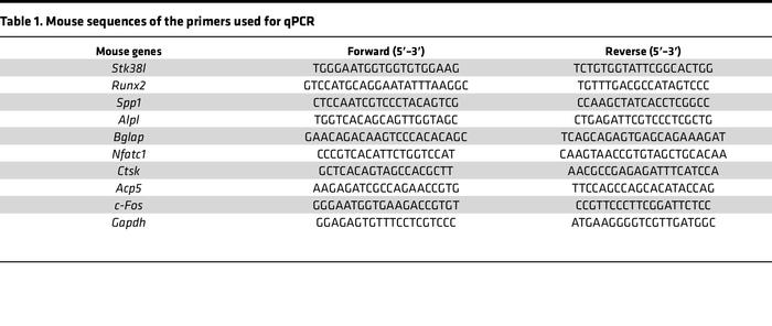 Mouse sequences of the primers used for qPCR
