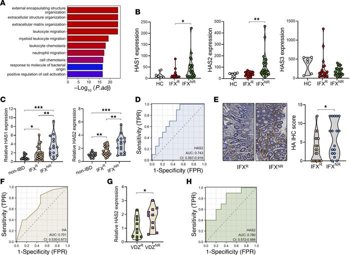 HA deposition is correlated with therapeutic nonresponse to IFX and VDZ ...