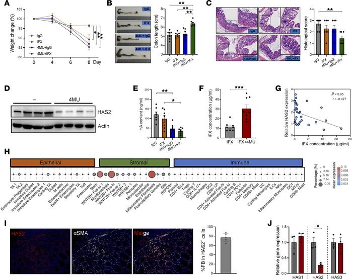 HAS2 inhibition sensitized IFX treatment in colitis.
(A) Mice given 2.5%...