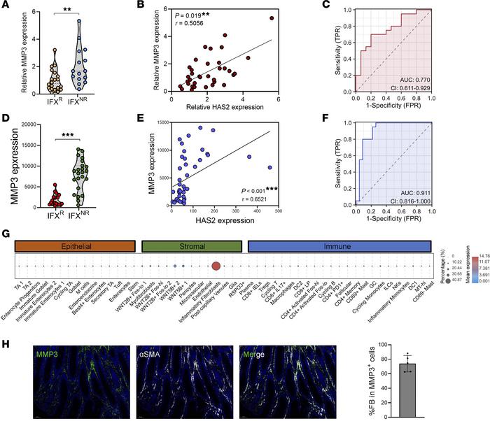 The correlation between mucosal HAS2 and MMP3 expression in patients wit...