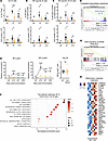 B cell ROCK1 regulates humoral responses during TD immunization.