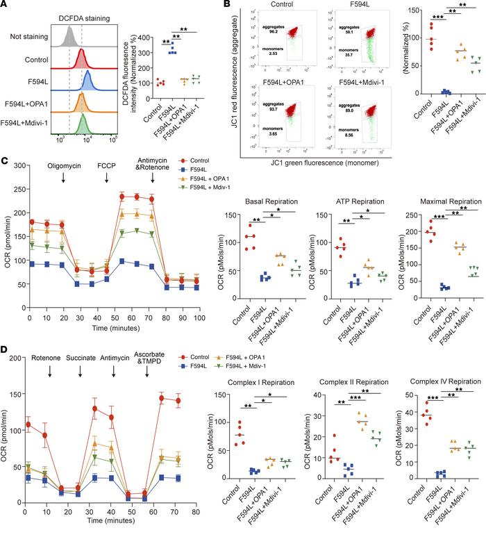 Mdivi-1 attenuates dysfunctions in MMP, ROS accumulation, and OCR in F59...
