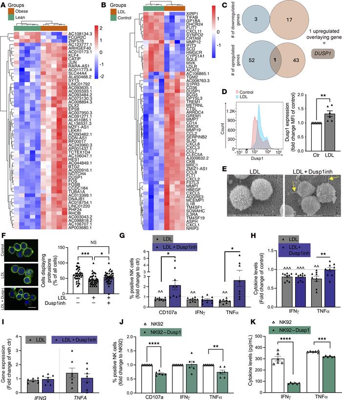 Comparative analysis of 2 RNA-sequencing sets reveals DUSP1 as an overla...