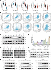 SPOP correlates with RIPK1 rather than RIPK3 in tumors.
