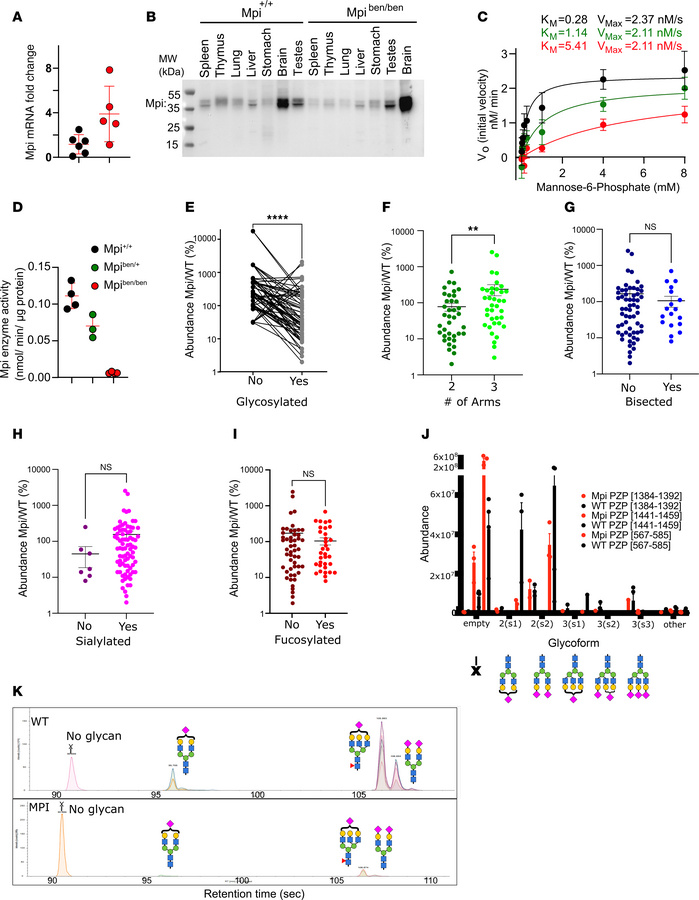 
Benadryl variant decreases enzyme activity and substrate binding affini...
