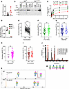 Benadryl variant decreases enzyme activity and substrate binding affinity,