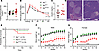 Metabolism is intact in benadryl mice.