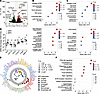 Transcriptomic analysis of TGF-β1–treated human dNPC.