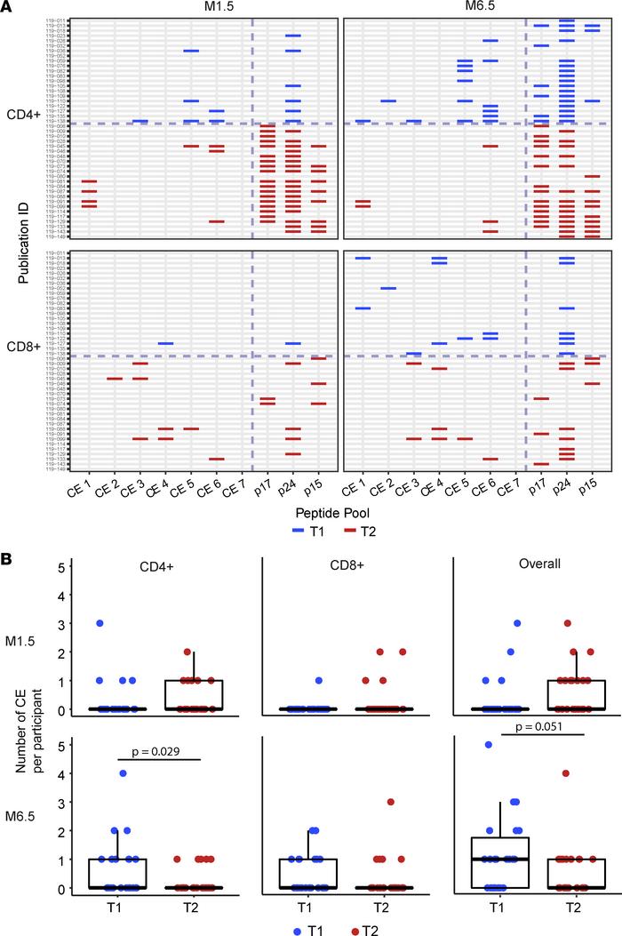 T cell responses to individual CE and Gag regions.
(A) Drawing depicts p...