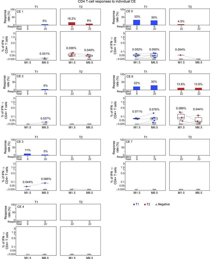 Mapping CD4+ T cell responses to individual CE.
Flow cytometric analysis...
