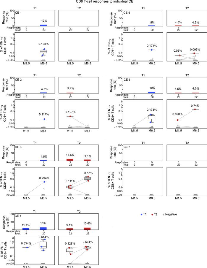 Mapping CD8+ T cell responses to individual CE.
Flow cytometric analysis...