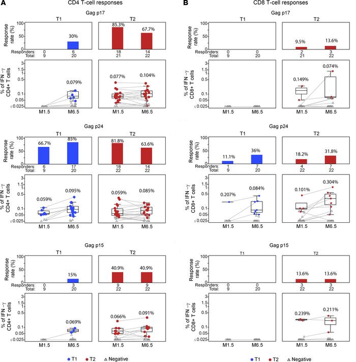 T cell responses to the 3 proteolytic cleavage products p17Gag, p24Gag, ...