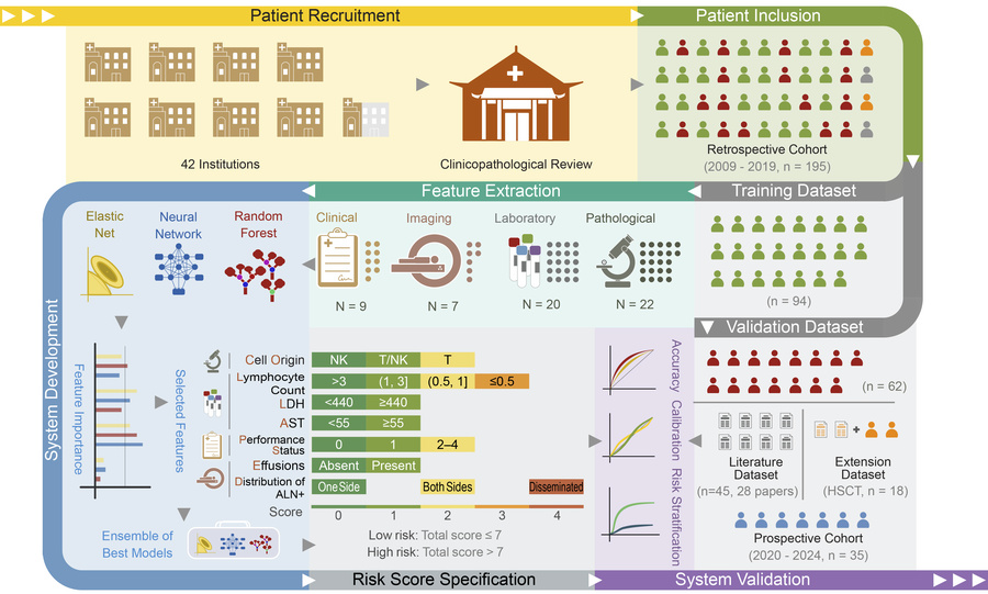Overview of study design and COLLAPSED system development.
Suspected cas...