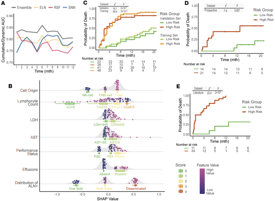 Evaluation of the COLLAPSED system across cohorts.
(A) Time-dependent di...