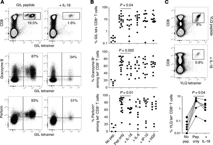 Impact of IL-18 on recall CD8+ T cell responses in vitro.
(A) Top: Repre...