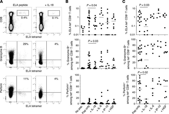 Impact of IL-18 on de novo CD8+ T cell responses in vitro.
(A) Top: Repr...