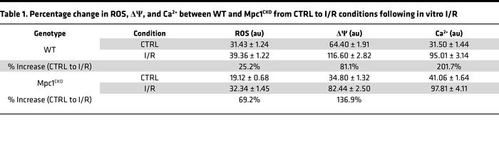 Percentage change in ROS, ΔΨ, and Ca2+ between WT and Mpc1CKO from CTRL ...