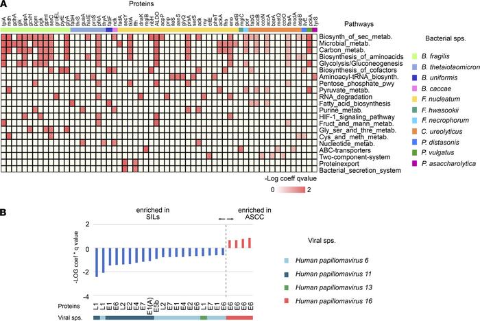 Functional and taxonomic enrichment of microbial gene proteins associate...