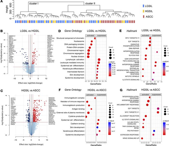 Differential gene expression analysis and functional enrichment of trans...