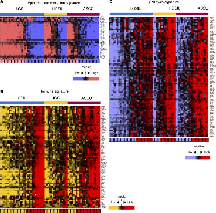 Heatmaps illustrating the expression profiles of gene signatures across ...