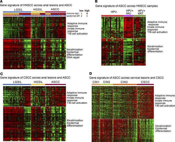Comparative analysis of gene signature expression patterns and enriched ...