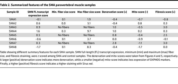 Summarized features of the SMA paravertebral muscle samples