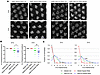 Knockdown of Nedd4 enhances the retina degeneration induced by Htt Exon1-Q1