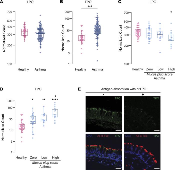 TPO gene expression is higher in patients with asthma, especially in pat...