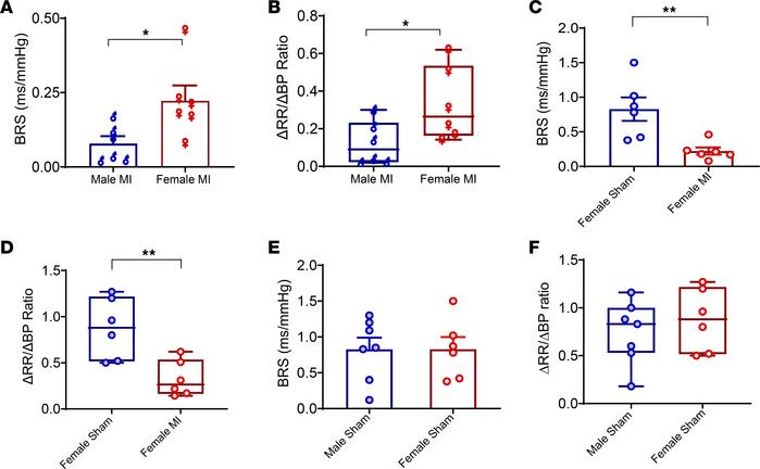 Sex differences in baroreflex sensitivity.
(A) Infarcted males had lower...