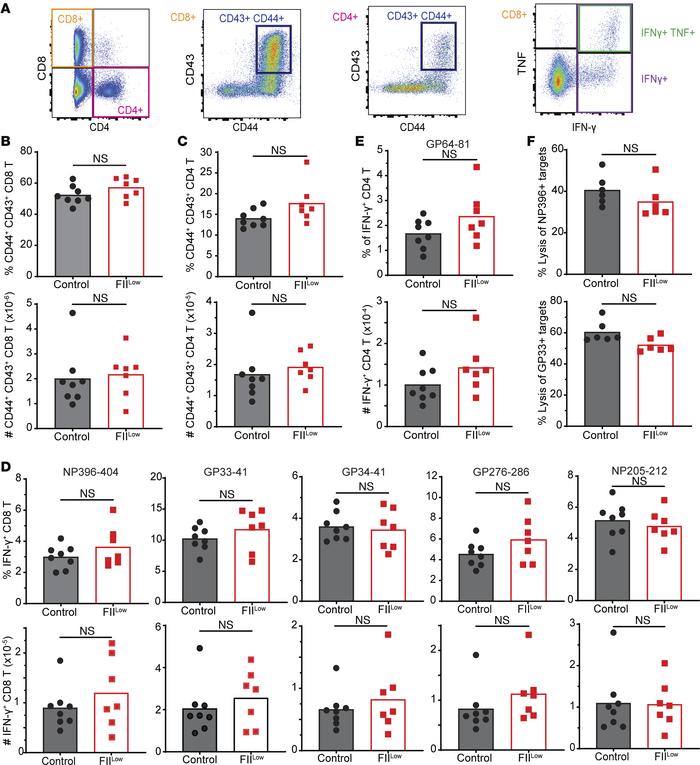 Magnitude of antiviral T cell responses is independent of prothrombin.
G...