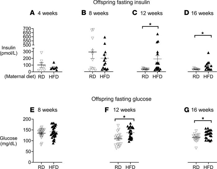 Hyperglycemia and hyperinsulinemia in offspring of HFD dams.
Offspring g...