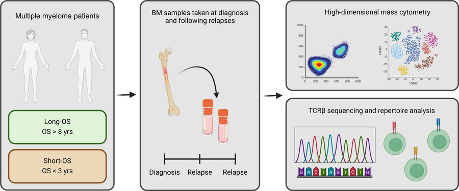 Overview of research approach.
BM samples, from either only diagnosis or...