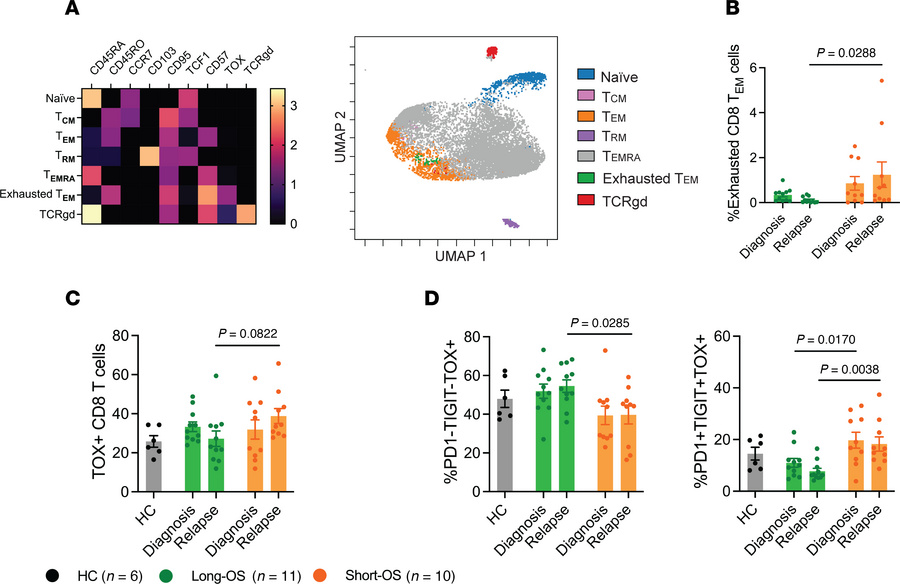 Increased CD8+ T cell exhaustion in myeloma patients with short survival...
