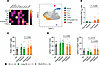 Increased CD8+ T cell exhaustion in myeloma patients with short survival.