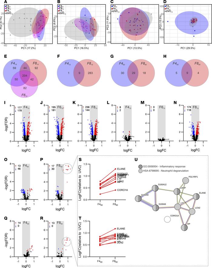 Proteome analysis of nondependent and dependent lung following 15- and 9...