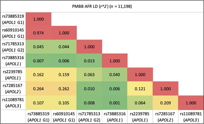 LD heatmap between significant variants in APOL genes.
The 5 variants wi...