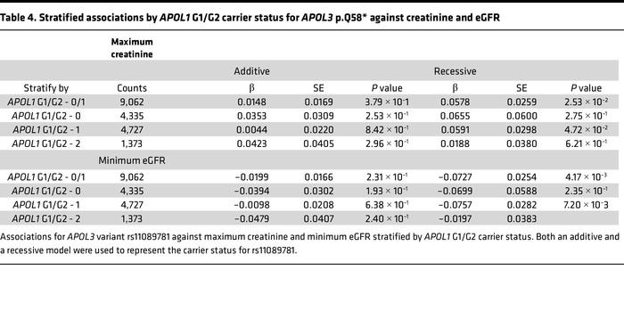 Stratified associations by APOL1 G1/G2 carrier status for APOL3 p.Q58* a...
