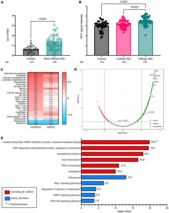 
SIX1 is elevated in SSc skin and correlates with adipose-related genes ...