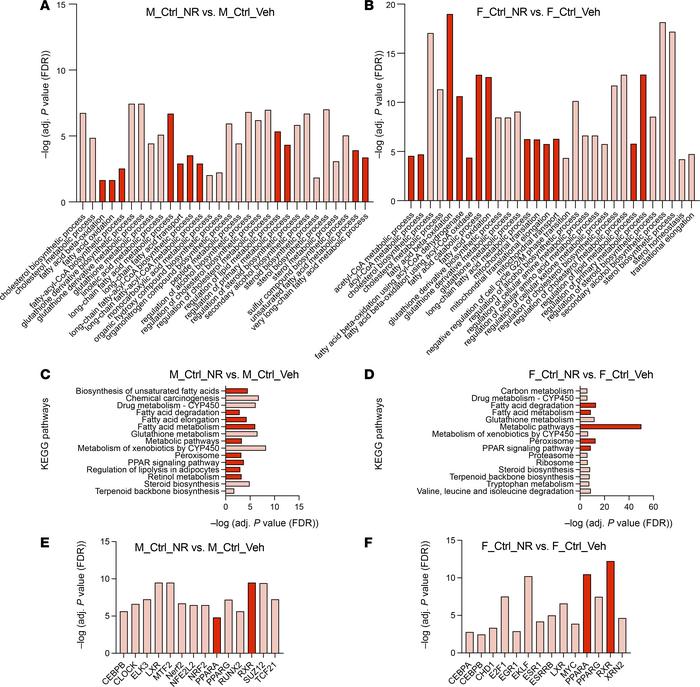 NAD+ supplementation activates renal metabolism in control mice, not jus...