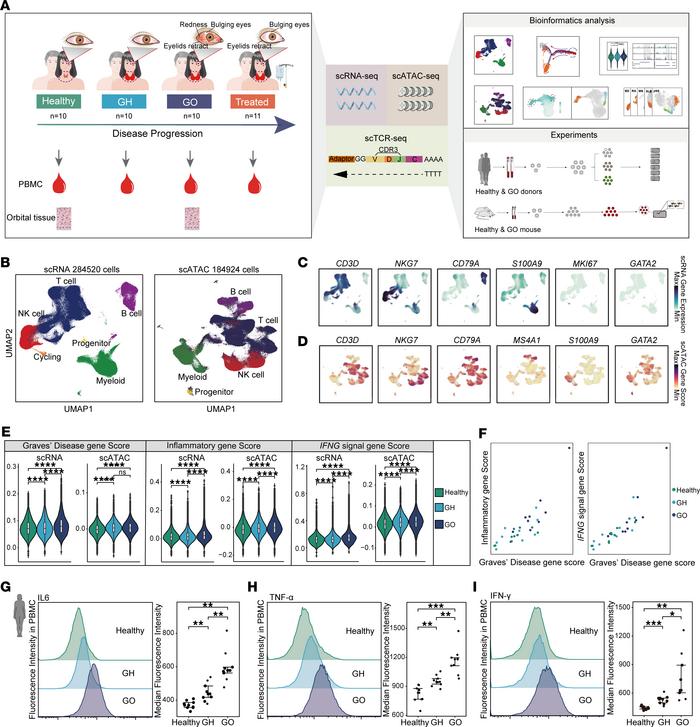 Single-cell atlas of expression and chromatin accessibility revealed enh...