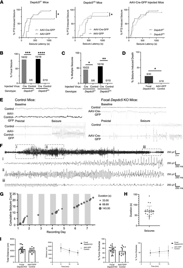 Focal Depdc5 loss in mice results in decreased seizure threshold, focal ...