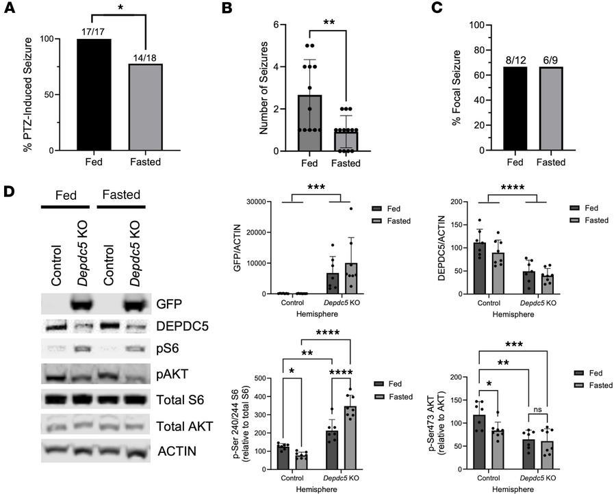 Fasting is protective of PTZ-induced seizures in focal Depdc5-knockout m...