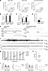 Focal Depdc5 loss in mice results in decreased seizure threshold, focal sei