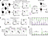 CD39loTCF-1–enriched CD8 cells outcompete CD39hiTCF-1–depleted CD8 cells on