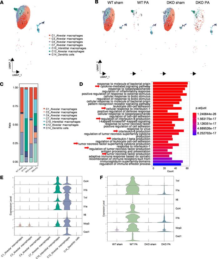 Discovery of a unique proinflammatory macrophage population (C12) reduce...